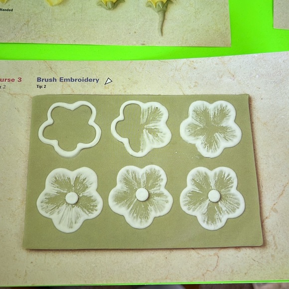Wilton Cake Decorating Set Practice - Picture 10 of 10